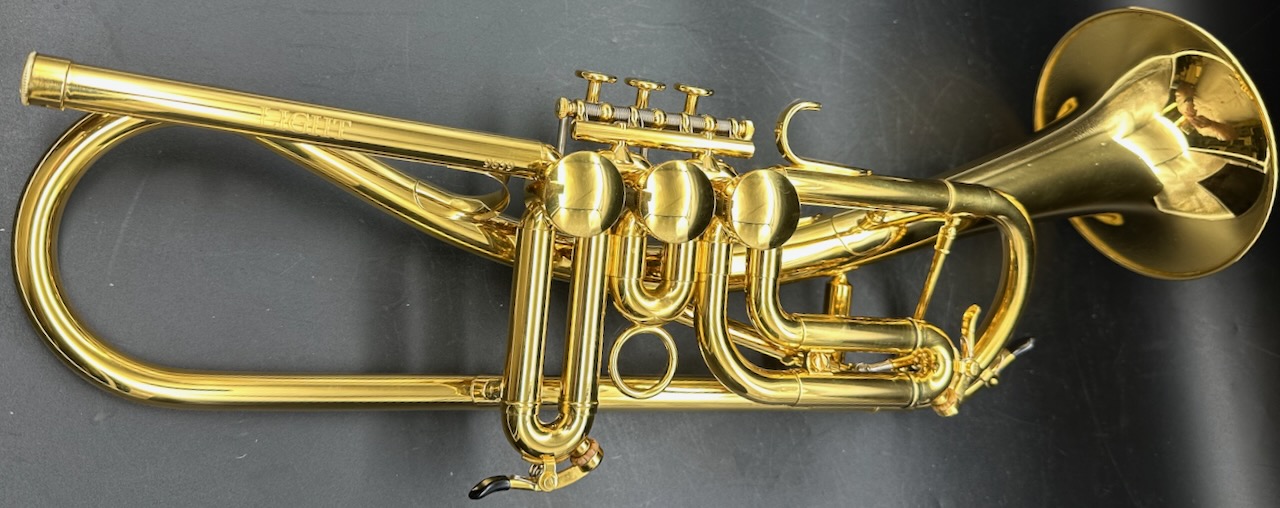 Schagerl Ganschhorn Light S/n 9659 GOLD PLATE    "MINTY!" - Image 19