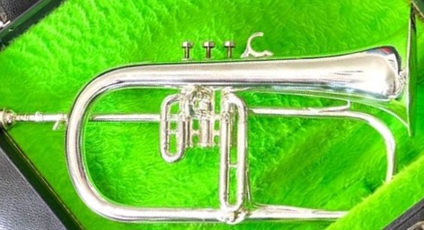 Couesnon Flugelhorn S/n 76064 W/ Reeves & Sonic Clean - Image 16