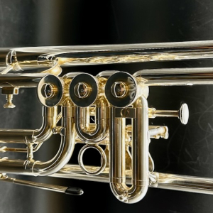 Schagerl Salzburg Rotary Bb S/n 1916 Silver Plate