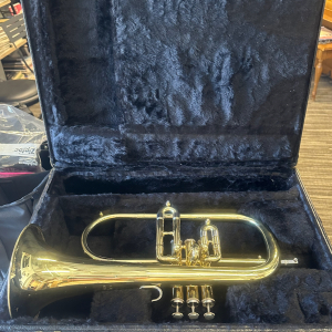 Deluxe Gladstone / Hard Shell Flugelhorn Case (Kanstul)