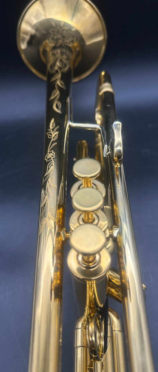 Blackburn S/n 1195 (GOLD PLATE) - Image 8